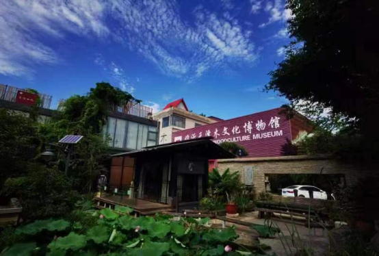 临沂市“十佳民间博物馆”评选结果揭晓