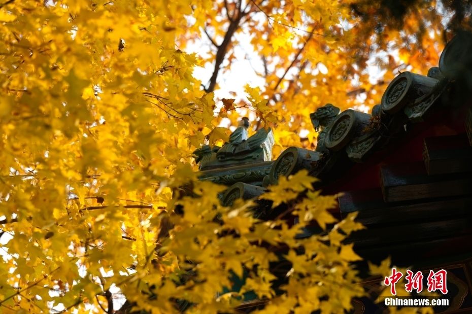 北京：颐和园景色怡人