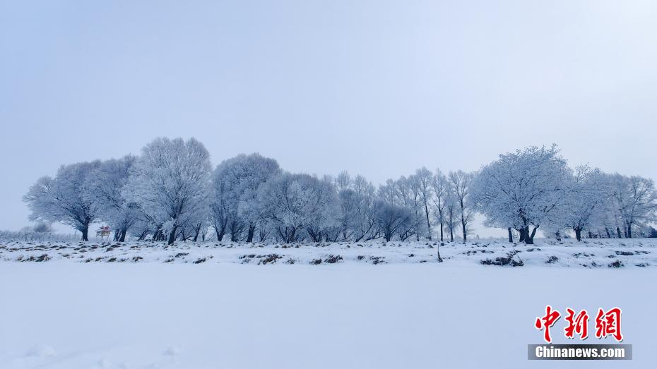 内蒙古大兴安岭：雾凇雪景宛若冰雪童话世界