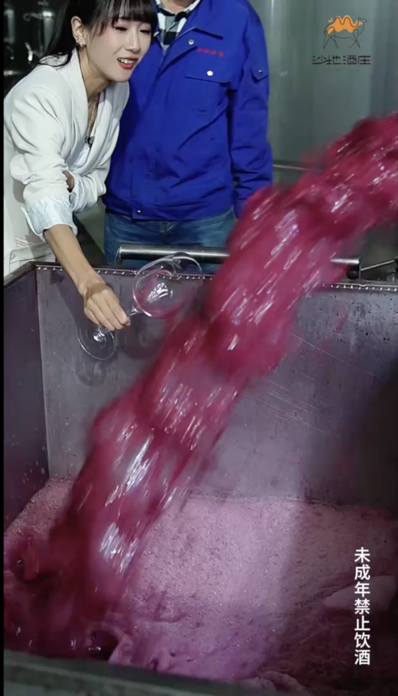 葡萄酒的酿酒车间和酒窖，你见过吗？