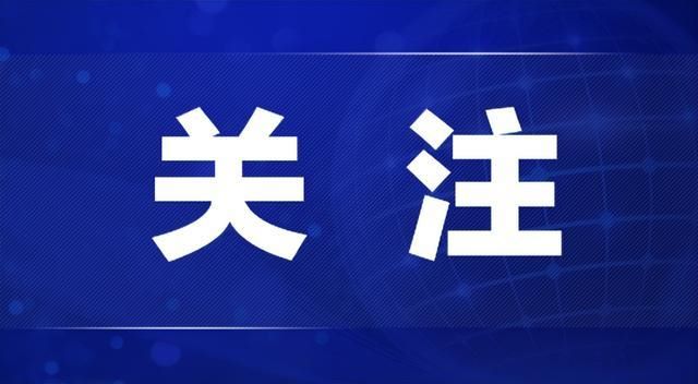 山东省博物馆藏品保护与管理能力提升培训班在青岛举办